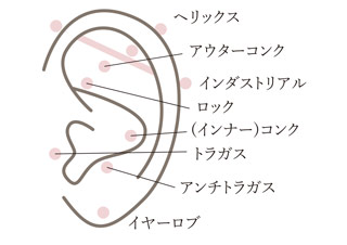 耳のピアス種類一覧