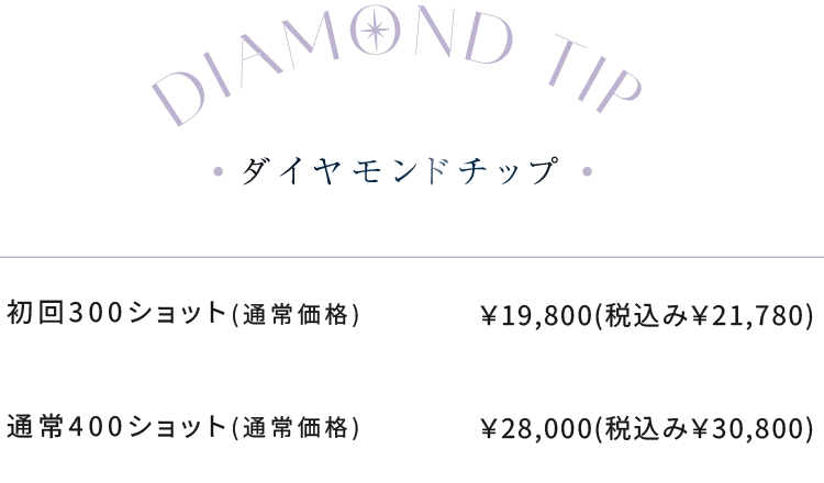 ダイヤモンドチップ